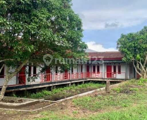 Tanah Luas 9260 m2 di Pinggir Jalan Raya Magelang-Semarang, Cocok untuk Usaha