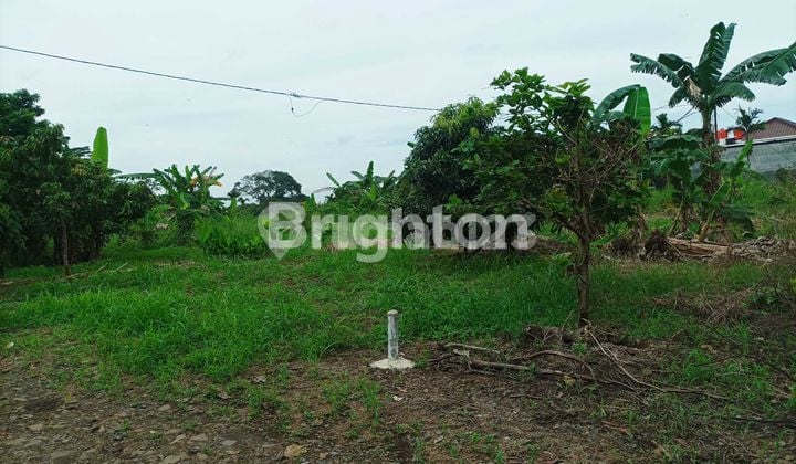 Tanah Kavling Tengah Kota 8,031 M2 Di Kedamaian Bandar Lampung