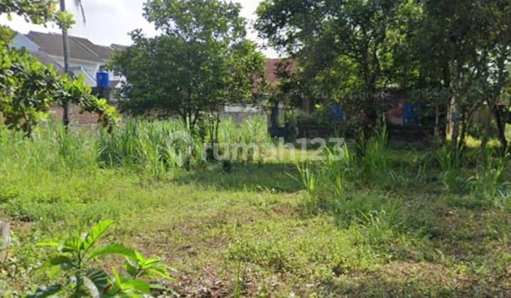 Land Area 3920 Square Meters Location Near Palagan Road Ngaglik Sleman