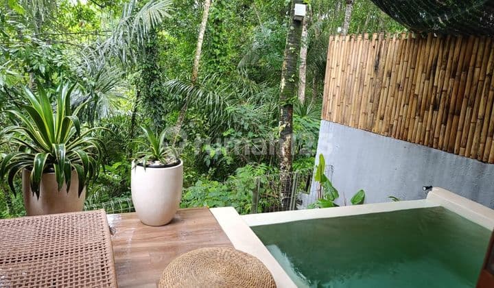 Bamboo Villa For Sale In Tegalalang, Ubud, Bali
