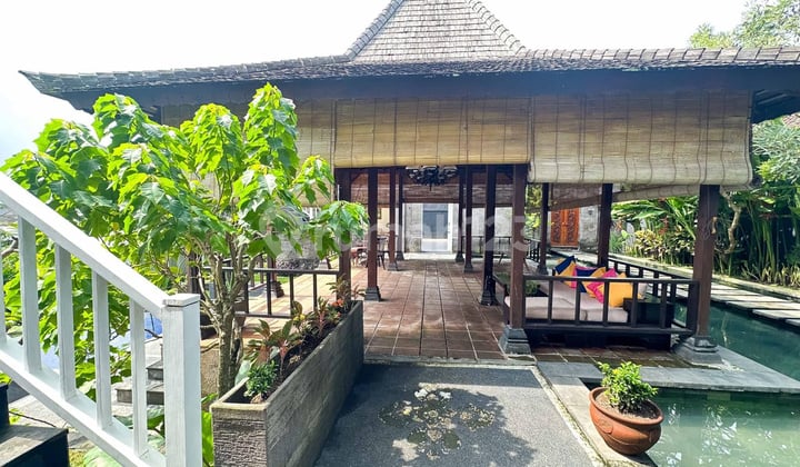 Villa For Sale, N Rent Traditional And Modern Concept Style