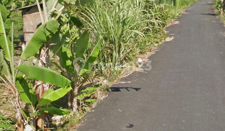 Di Jual Tanah Kavling Mulai 1 Arelokasi di Padang Galak Sanur