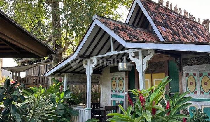 For Sale Cheap Land + Villa Building in Canggu