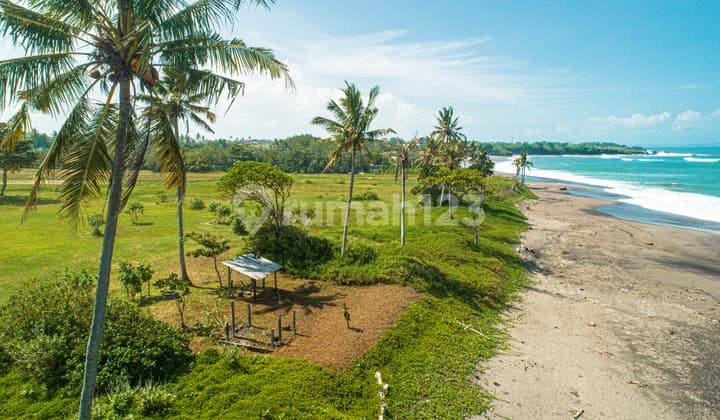 Tanah Kavling Pinggir Pantai Belong Tabanan - Investasi Premium di Kawasan Pariwisata Bali