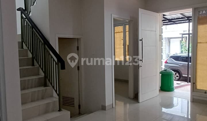 Cheap Samara Already Canopy