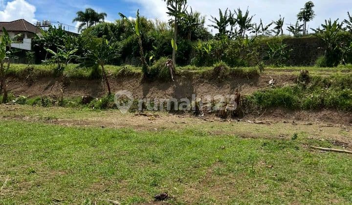 Tanah di Setiabudi Regensi,View,Sejuk