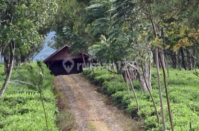 Dijual Tanah Luas di Wanayasa Purwakarta Jawa Barat