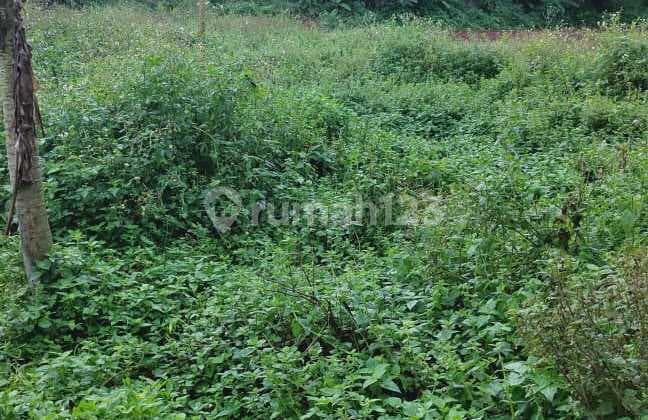 Dijual Tanah Bojong Kamal Legok Tangerang