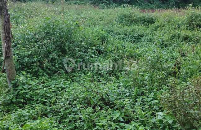 Dijual Tanah Bojong Kamal Legok Tangerang