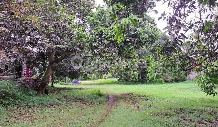 Dijual lahan komersil di Alternatif Cibubur, Nagrak, Gn Putri Kab Bogor