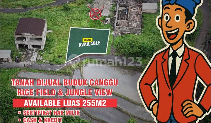 Tanah Dijual Buduk Canggu Luas 255m2