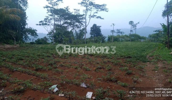 TANAH PERKEBUNAN DI CAMPAKA, CIANJUR