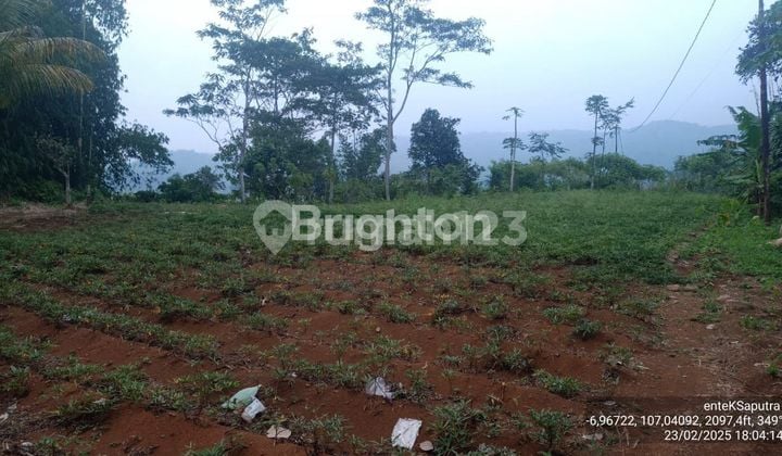 TANAH PERKEBUNAN DI CAMPAKA, CIANJUR