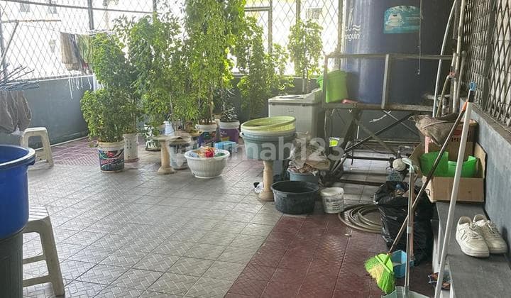 Ruko 3 Lantai Krendang 6x24 Cocok Untuk Konveksi