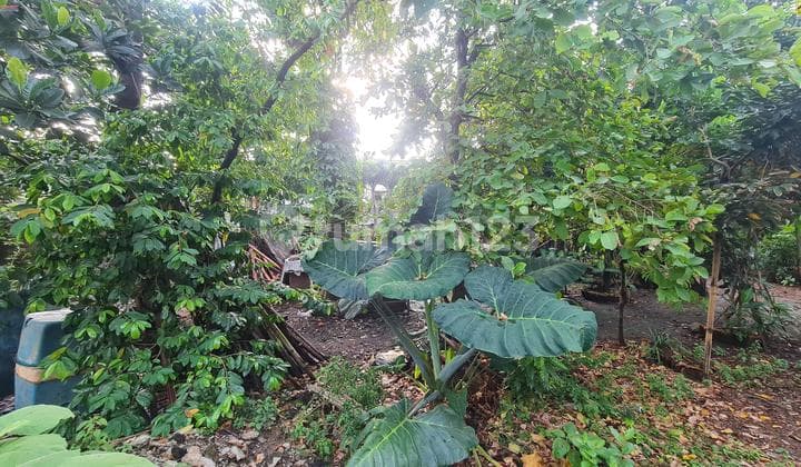 Tanah Bonus Rumah & Kontrakan Stategis Nempel Jatimakmur Pondok Gede