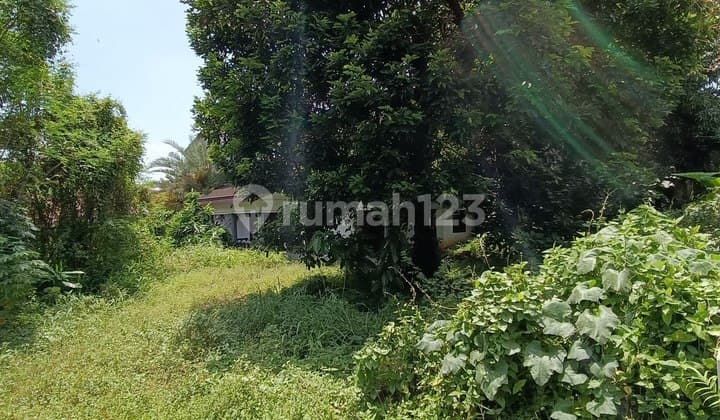 Tanah Dibawah Harga Pasaran Bonus Bangunan Lama Strategis Jaksel