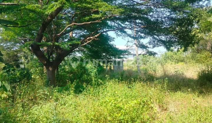 Sewa Tanah Industri Kiw Tugu Dekat Akses Tol Krapyak Kendal