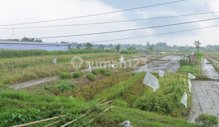 Tanah Komersil Pinggir Jalan Raya Mranggen Cocok Usaha/ Gudang