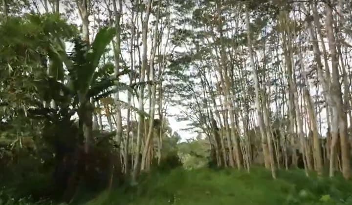 Tanah Komersil Cangkiran Dekat Bsb City