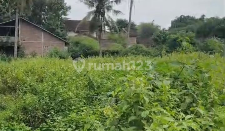 Tanah Premium Ring 1 Kawasan Wisata Candi Borobudur