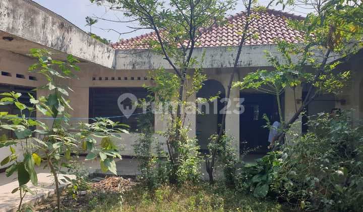 Dijual Murah 1 Lahan Tanah Beserta Rumah Tua