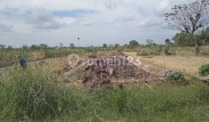 Tanah Siap Pakai untuk Bisnis Lokasi Strategis Luas 2025M² di Kedamean Gresik