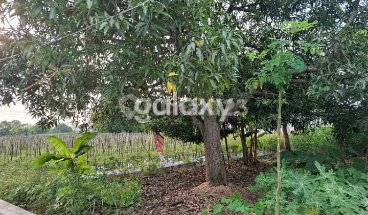 Tanah Siap Pakai Lokasi Strategis Menganti Surabaya Barat