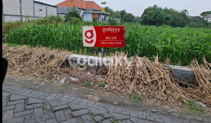 Cheap land with no road access.