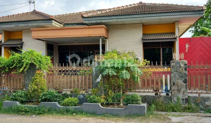 Jual Cepat!! Rumah Strategis di Pusat Kota Dekat Sekolah Jual Cepat!! Rumah Strategis di Pusat Kota Dekat Sekolah