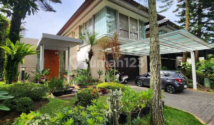 Rumah Mewah Larang Tapa Semi Furnish + Kolam Renang 5 Kamar Lt420 Lb500 , Lt 1213