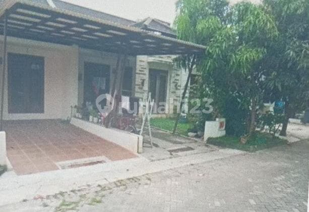 Bumi Panyawang 430,1jt Lt84 Lb43 Shm Kt2 Km1 Oyeee.. Lelang