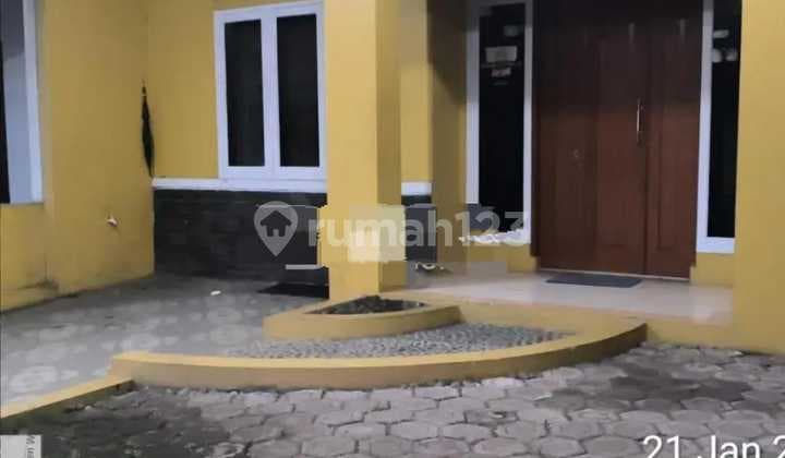 Pinus Reg. 400jt Lt112 Lb70 Shm Kt2 Murah Lelang