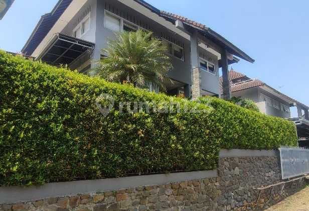 Dago Giri Lt577 Lb300 2.9mlyr 2lt. Shm Kt5 Km4 L