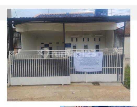 Kayu Cendana 170jt Lt60 Lb34 Shm Kt2 Km1 Lelang