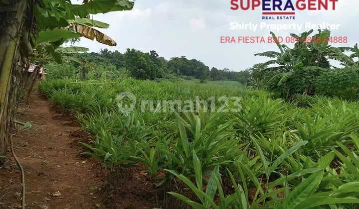 Tanah Luas Tenjo Cocok Perumahan Siap Survei