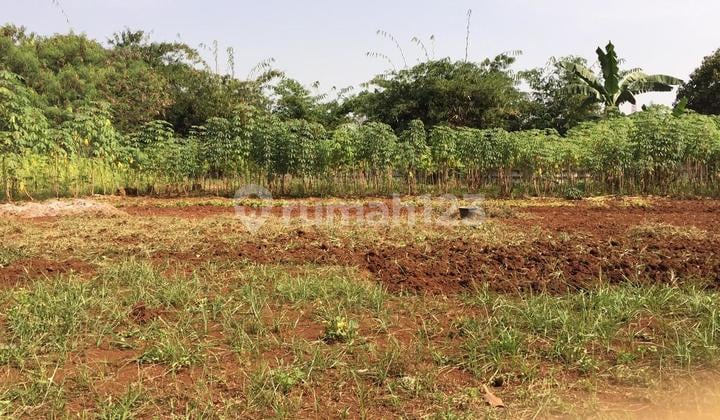 Kavling Multifungsijagabaya, Parung Panjang - Bogor Bebas Banjir