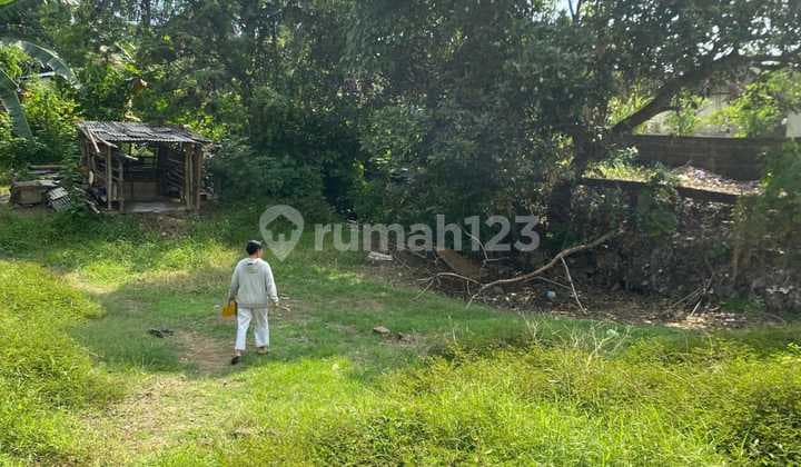 Jual Tanah Di Kedungu 6 Are Rp 410 Jt/are