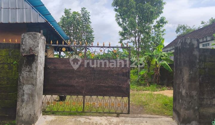 200M2 di Buduk ******** Canggu Rp 625 Jt/Are