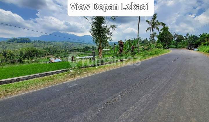 Kintamani Tanah Jual Dgn View Sawah Sering Dan Gunung 36are @rp 80 Jt / Are