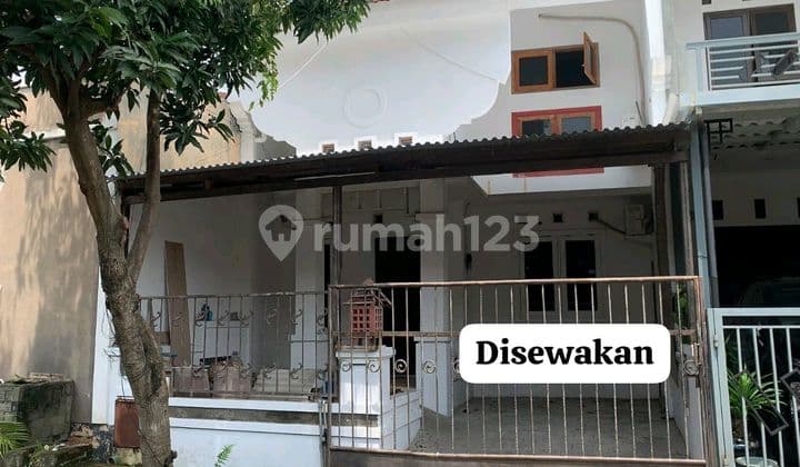 Rumah Sewa di Semarang Indah Puri Anjasmoro Dalam Cluster