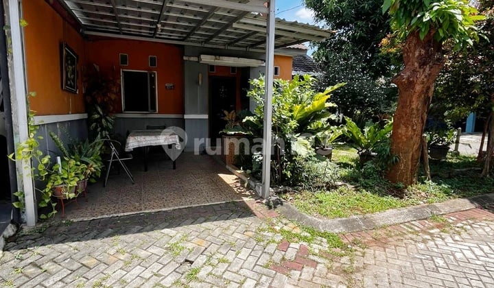 Rumah Hook Murah Dibawah Harga Pasaran Strategis di Duku Zambrud