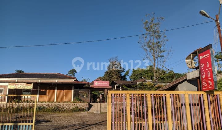 Passive Income Penginapan Eksotis Nyaman Asrii Pasirwangi Garut