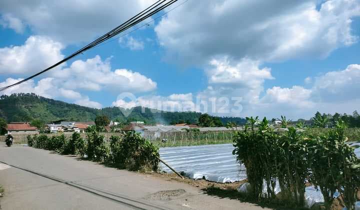 Cheap!! Large Land Around Lembang Suitable for Villa, Bandung