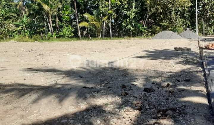 Dekat RS Queen Latifa Tanah SHM di Sentolo