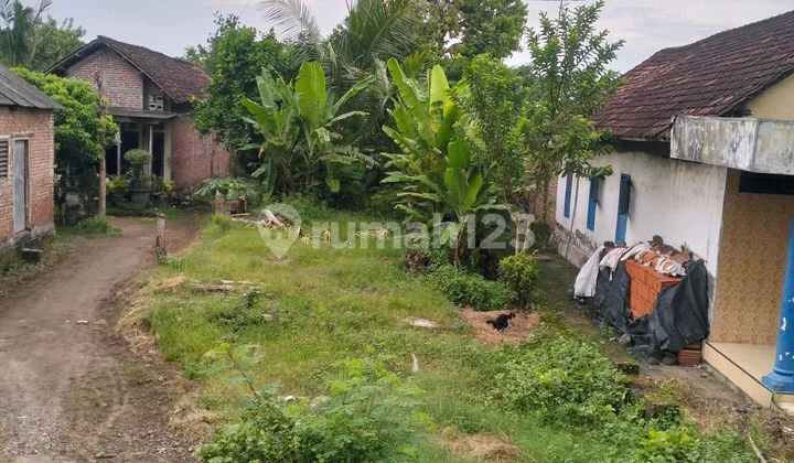 Jual Lahan Pekarangan Milik Sendiri dengan Lokasi Strategis Nol Jalan Raya Kabupaten