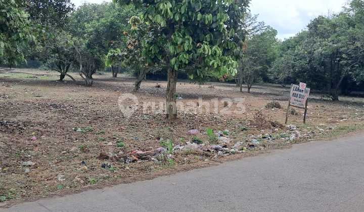 Dijual Tanah Strategis – Citra Raya Cikupa: 10.000 M²