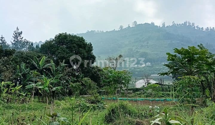 Dijual Tanah Cocok Untuk Resto Di Area Wisata Lembang