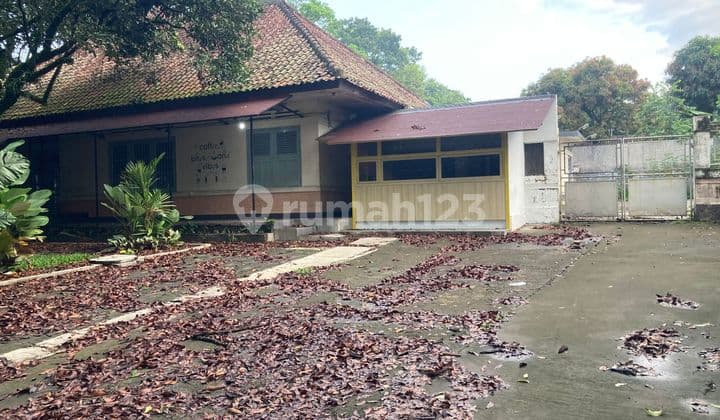 Rare Find!! House for Rent, Ideal for Cafe, Restaurant in Dago Area