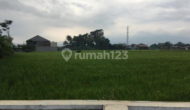 Best Lokasi Di Area Soreang Dekat Tol Soroja Cocok Untuk Cluster