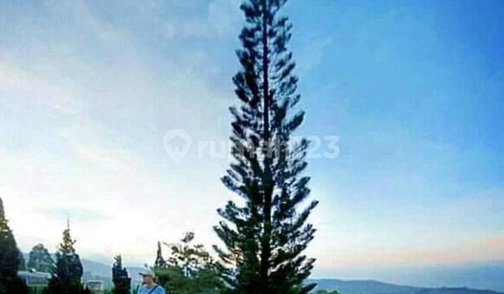 Jual Segera Villa Bagus,taman Luas,view Cantik Di Lembang